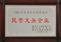 民營(yíng)龍頭企業(yè)